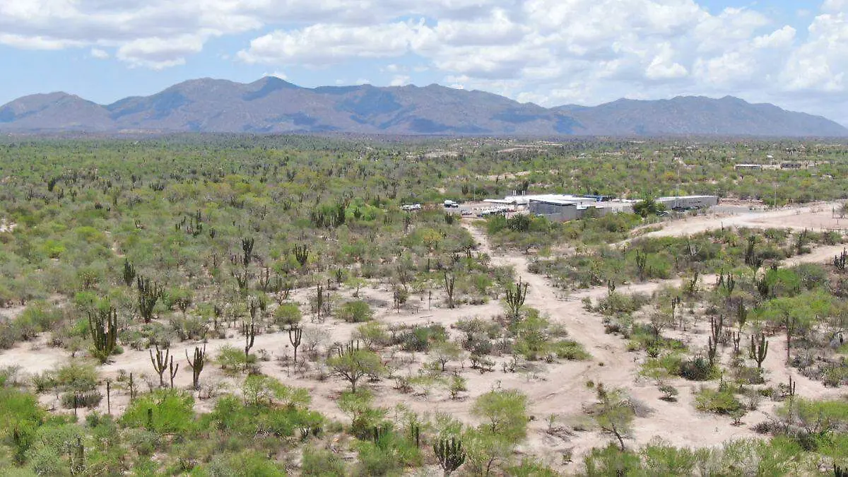 Temperatura del mar se mantiene elevada desde el año pasado