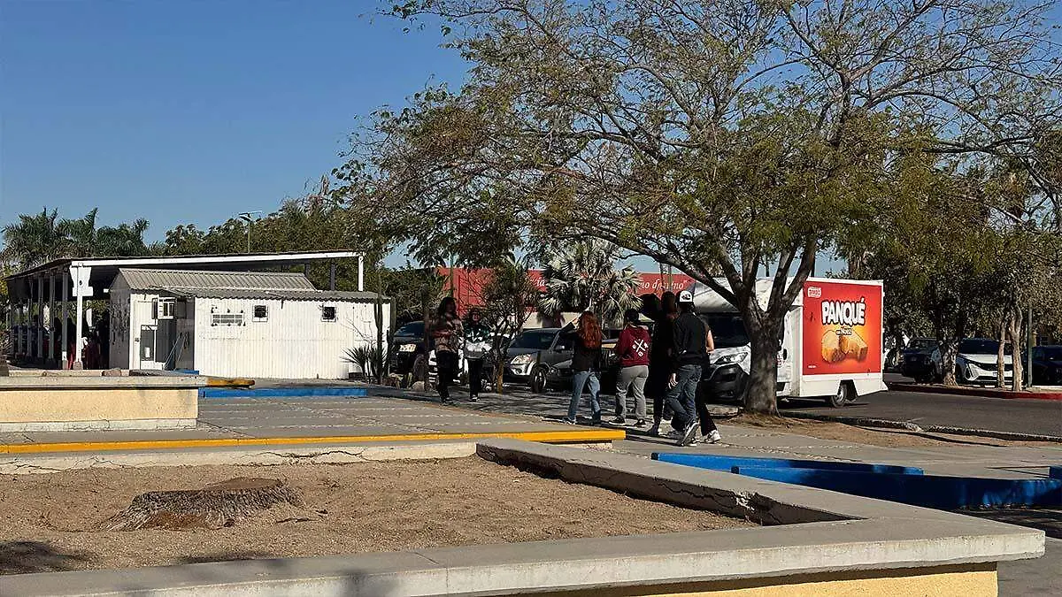 venden comida chatarra en la uabcs
