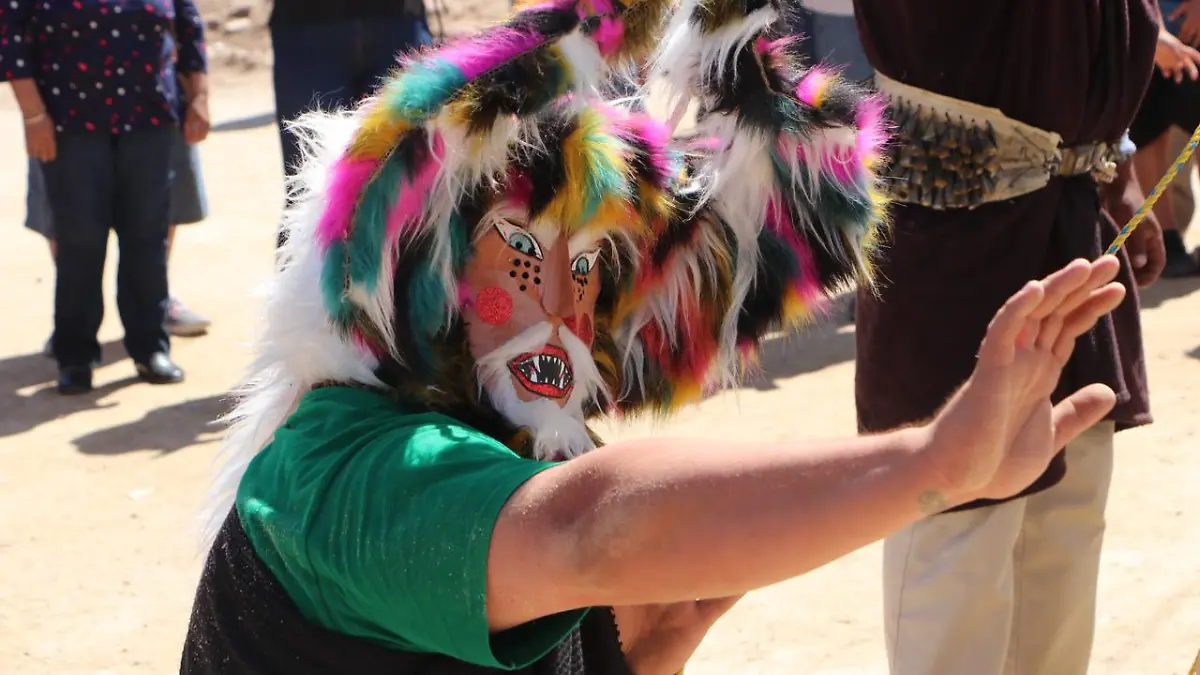 Fiestas santa rosalia 