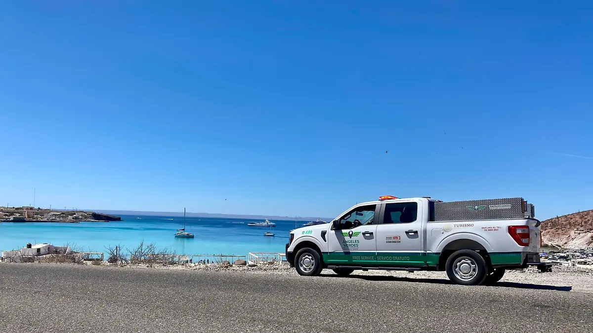 angeles verdes policiaca  (2)