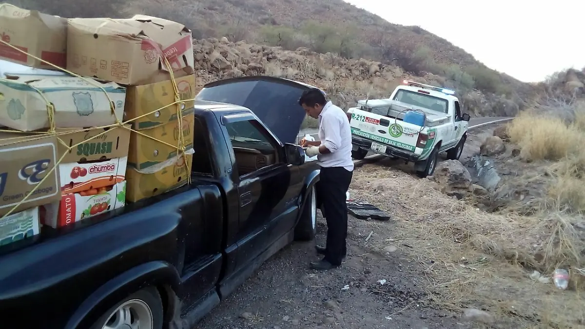 angeles verdes policiaca