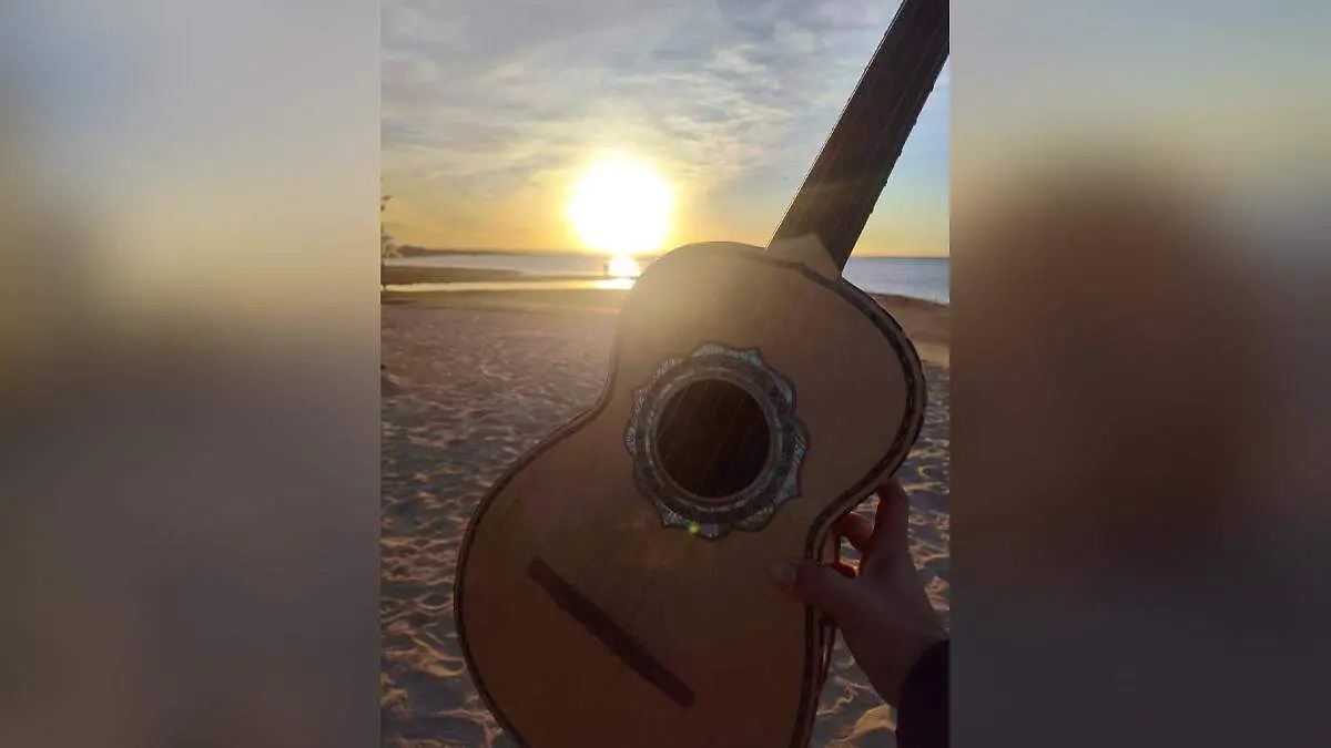 vihuela robada en la paz