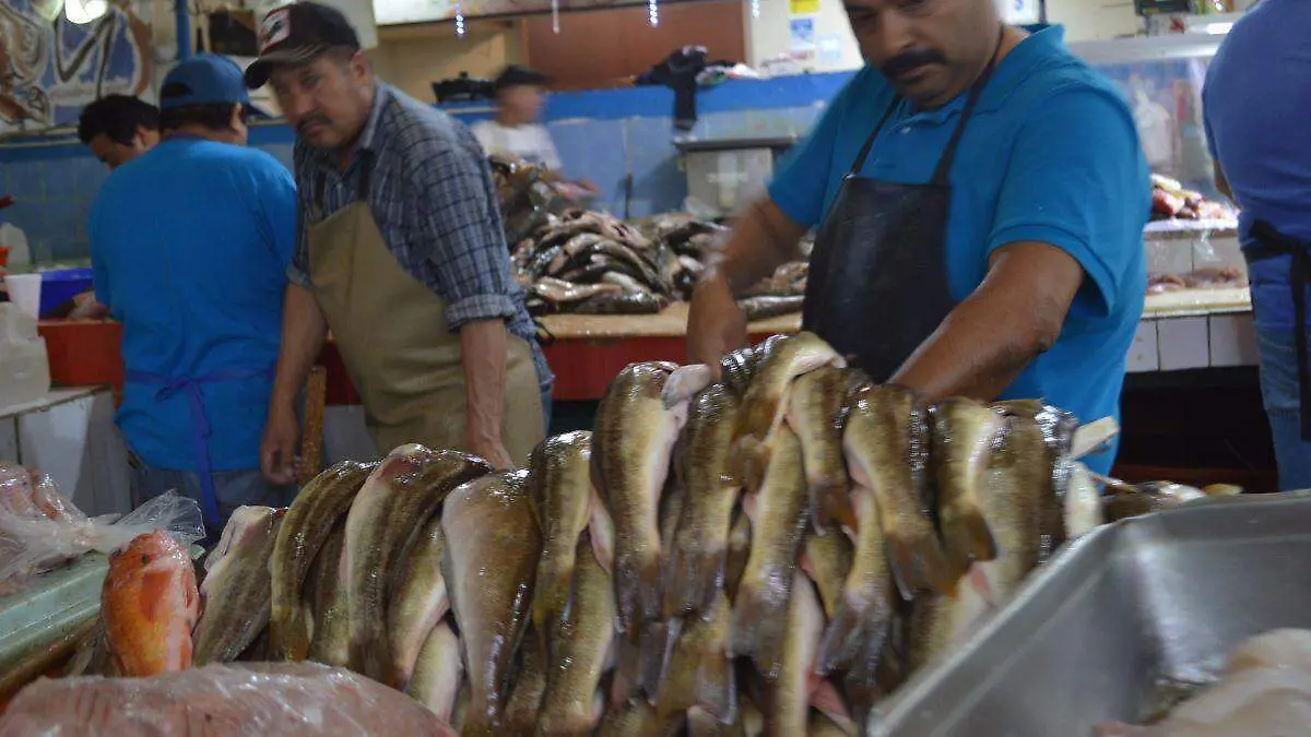 SE OFRECEN DIFERENTES PESCADOS