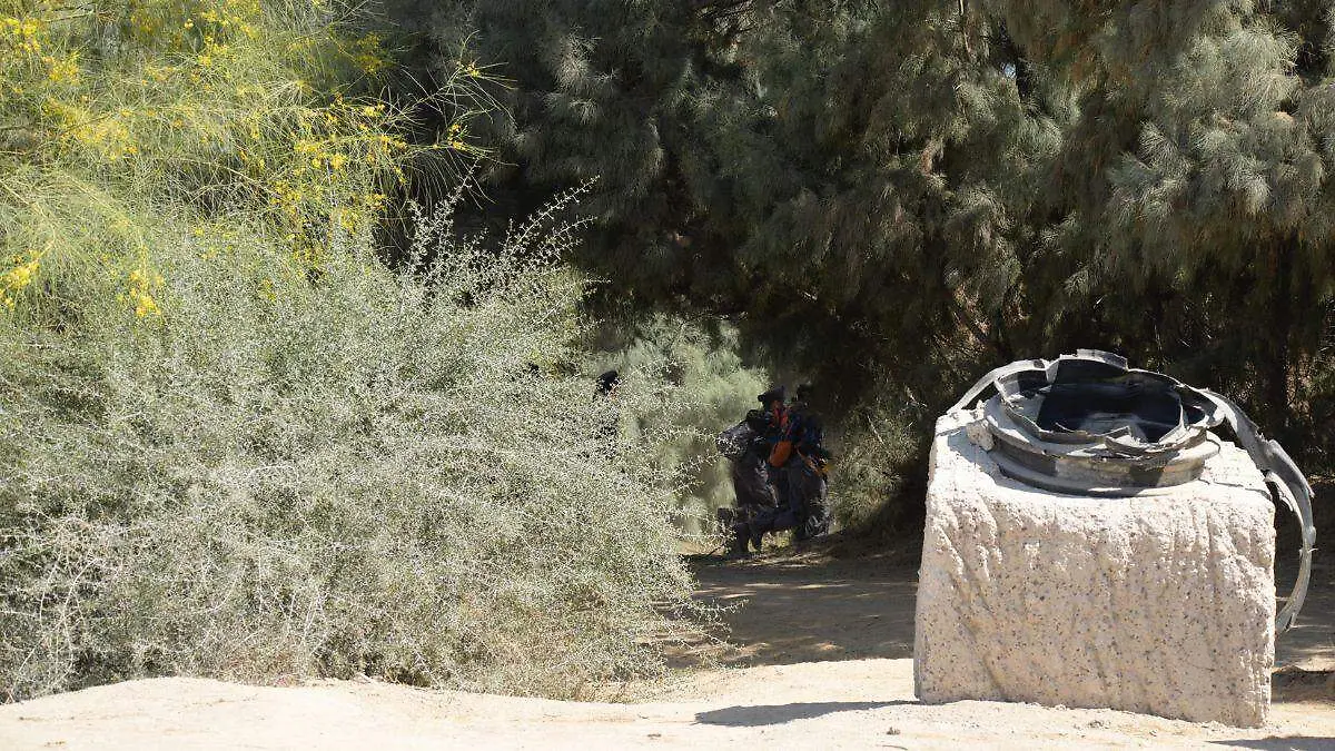 ACTIVIDADES EN EL ECOPARQUE
