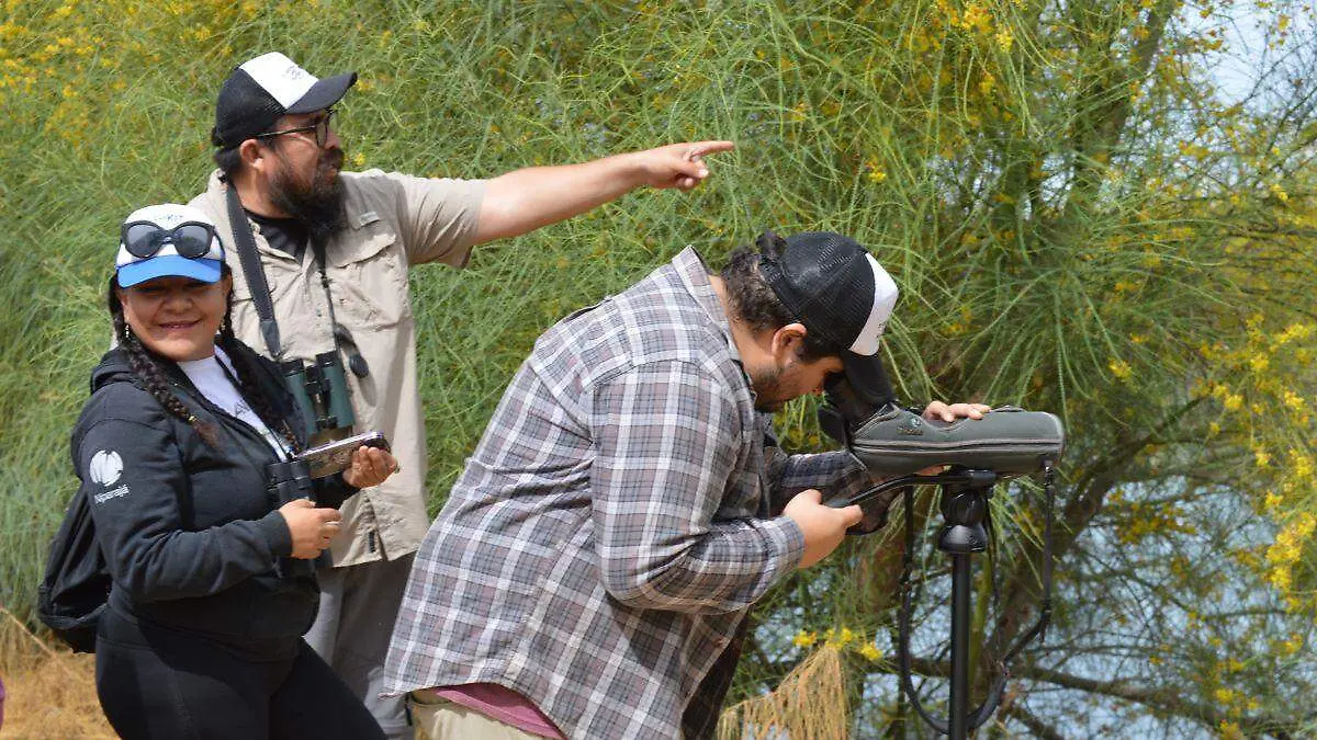 ACADEMICOS DE LA UABCS