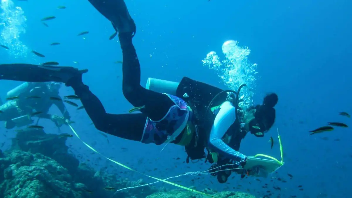 biologia marina es una de las carreras de la uabcs con mayor demanda