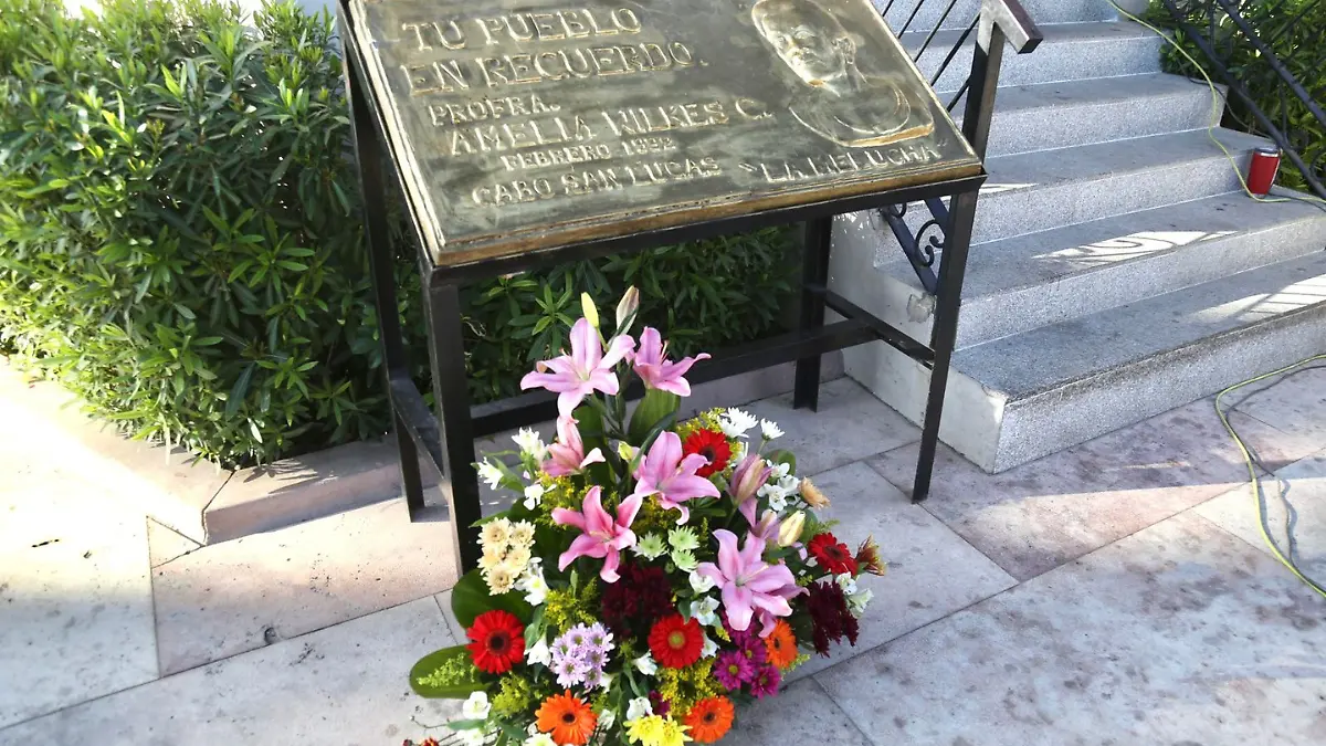 placa conmemoratica de amelia wilkes