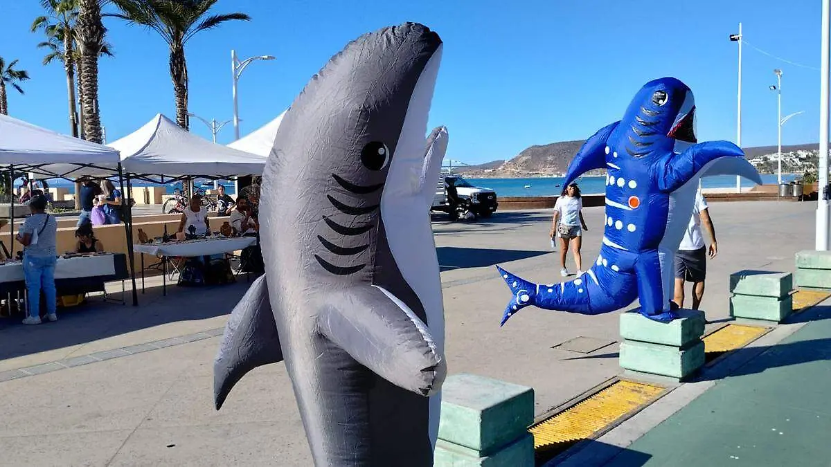 homenaje al tiburon ballena en la paz