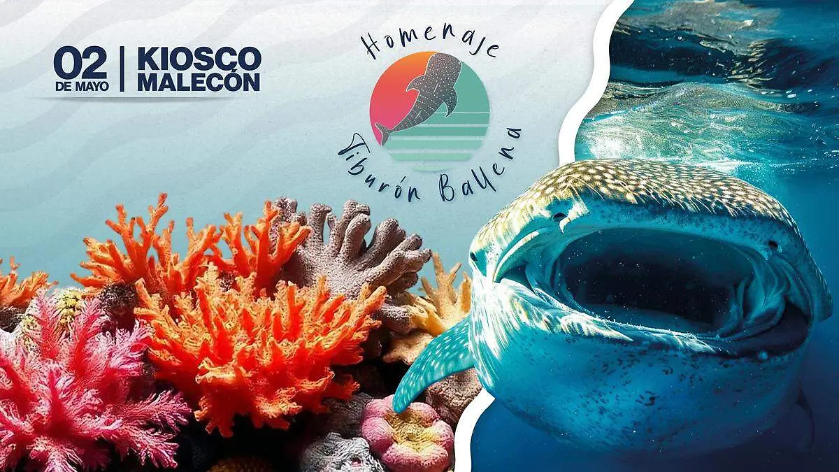 homenaje al tiburon ballena cartel