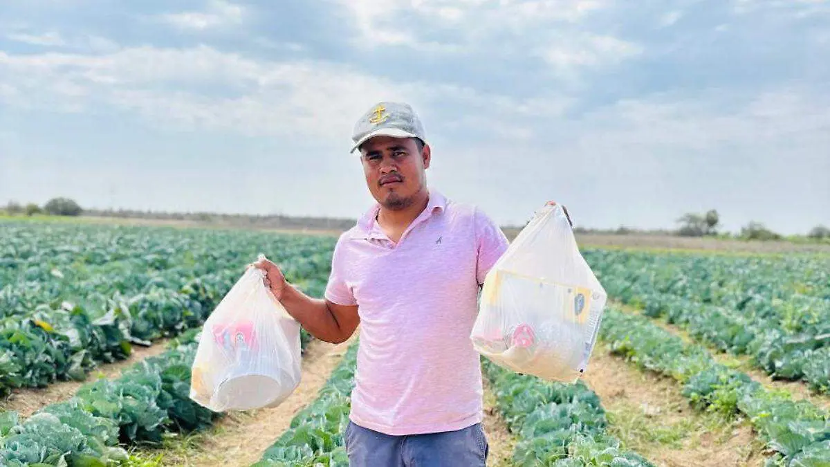 cuantas toneladas de alimentos se han recuperado desde que inició el programa