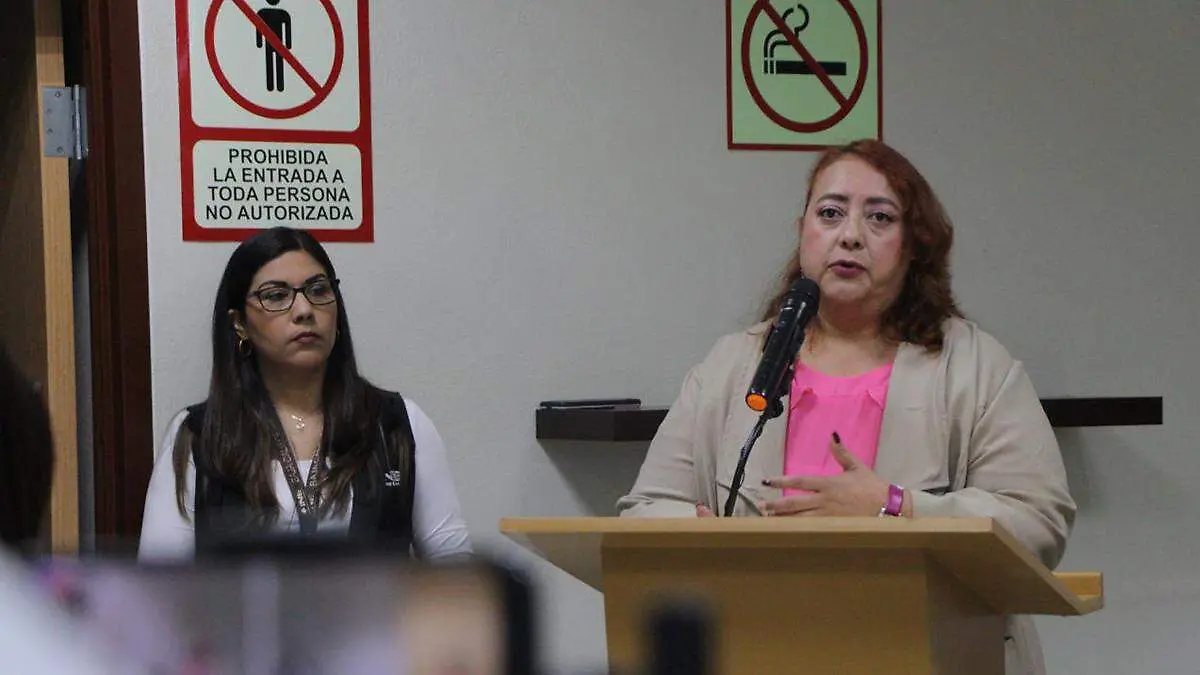sinia alvarez INE demostracion eleccion bcs