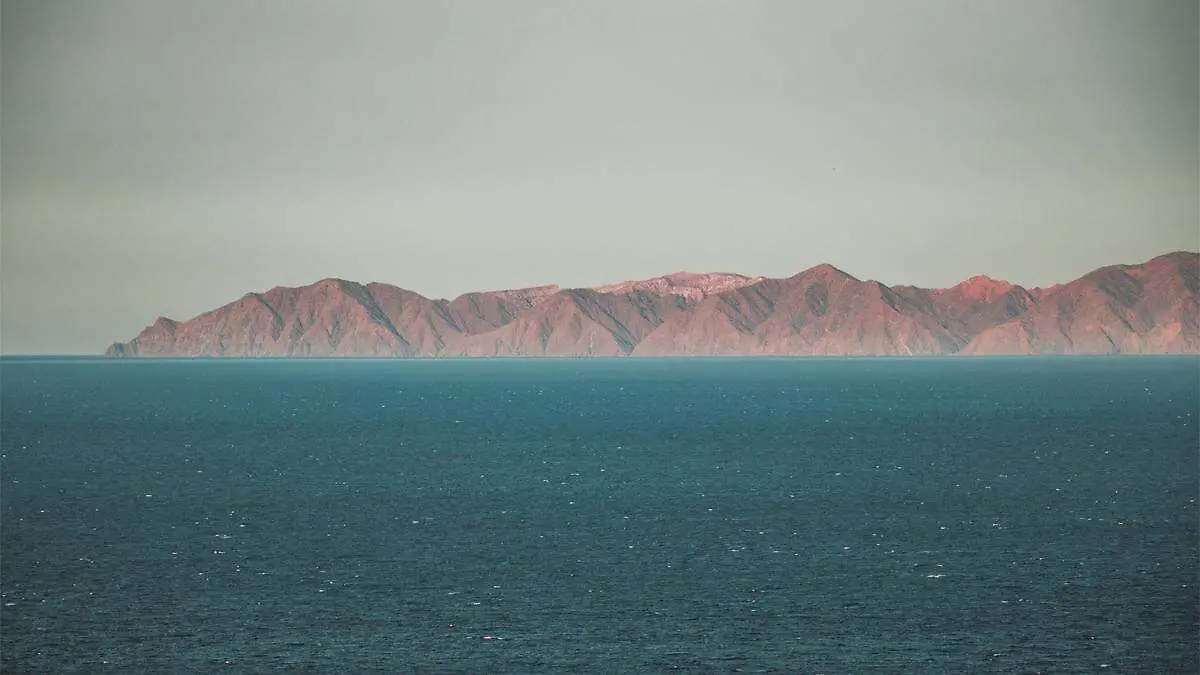 Isla cerralvo alberto cota
