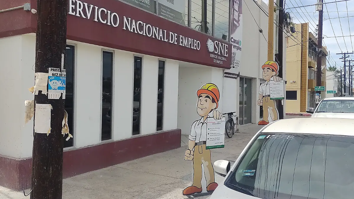 servicio nacional de empleo en baja california sur