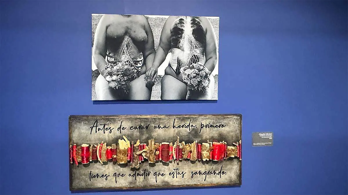 Puedo ingresar con alimentos al muabcs