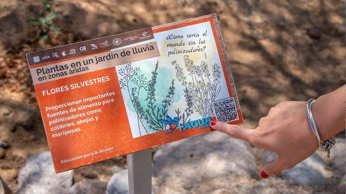 senaletica-jardin-de-lluvia-plantas-endemicas