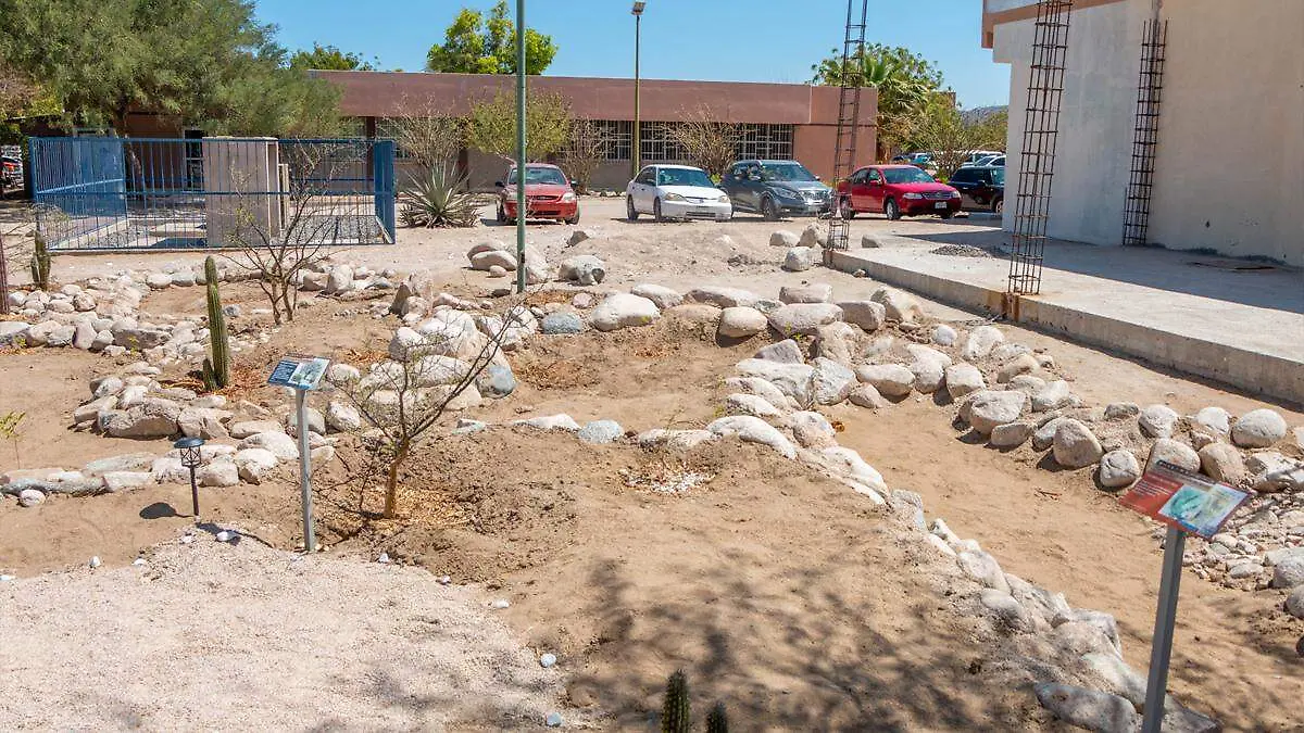 jardin-de-lluvia-uabcs