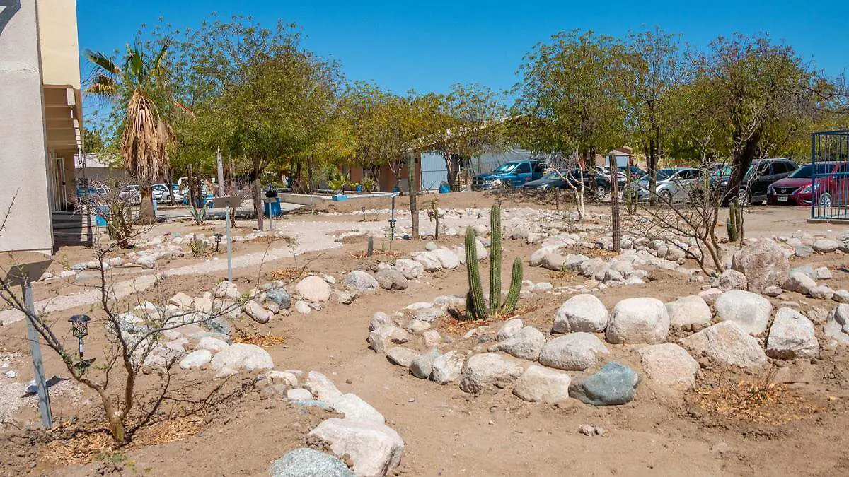 jardin-de-lluvia-uabcs-ubicacion