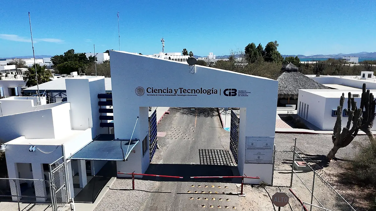 Cibnor en la paz bcs