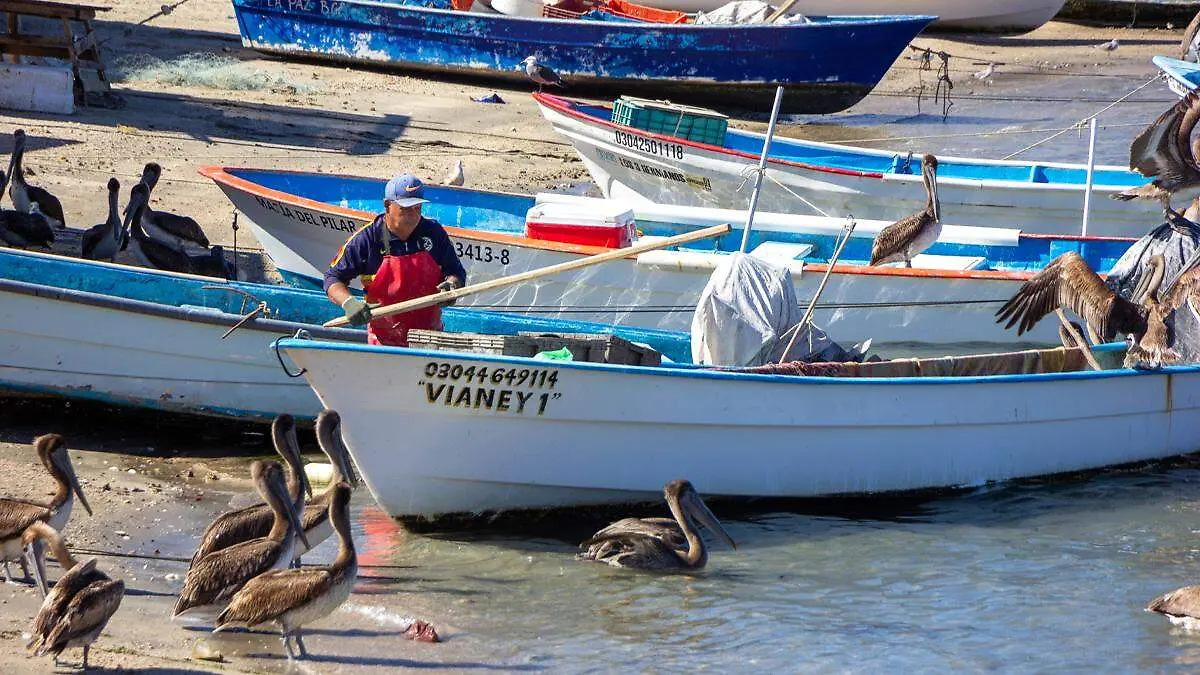 libreta-mar-pescadores