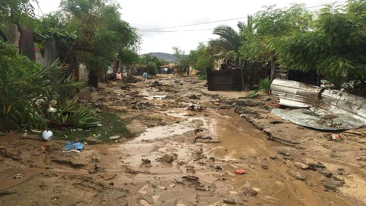 arroyos en los cabos