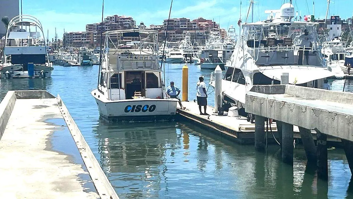 Embarcacion panga en muelle de marina de los cabo san lucas los cabos 2