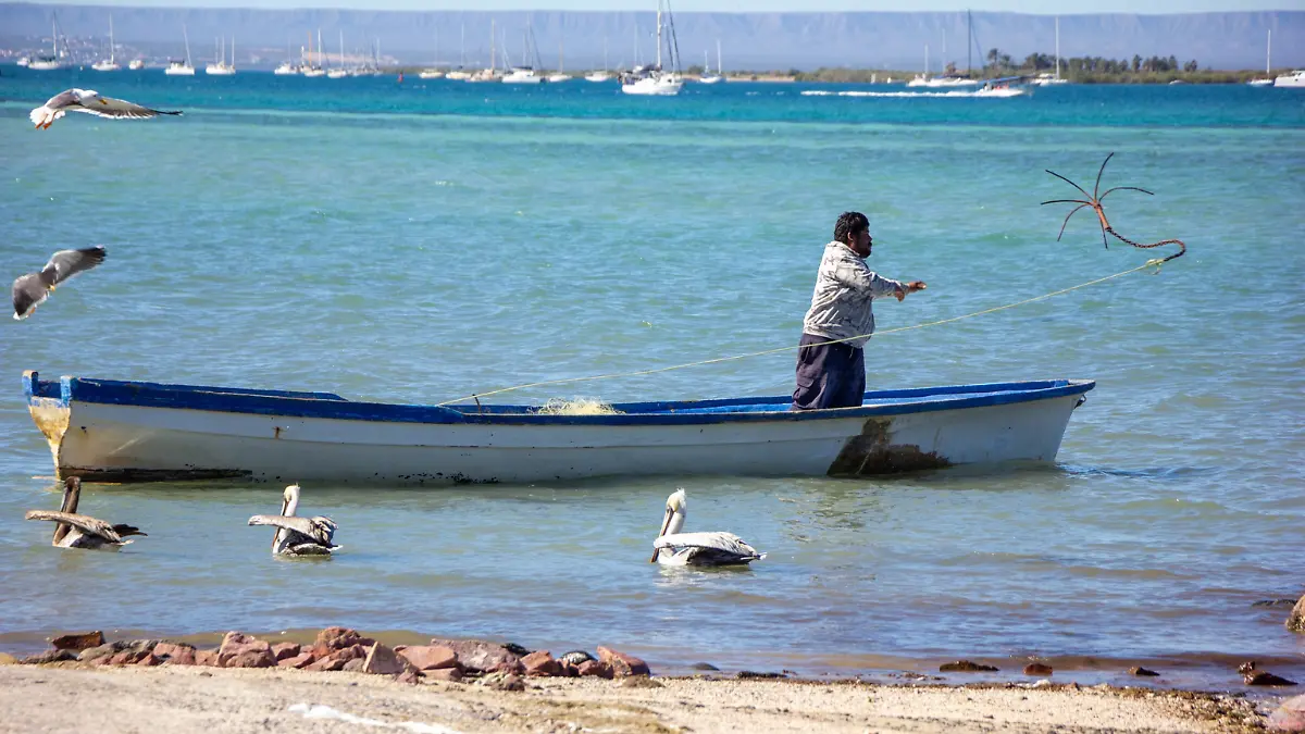 veda la paz pesca