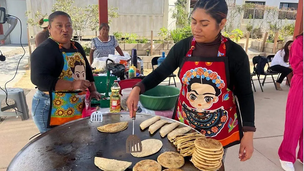 invitan a sembrar huertos con sistema de ahorro de agua en los cabos