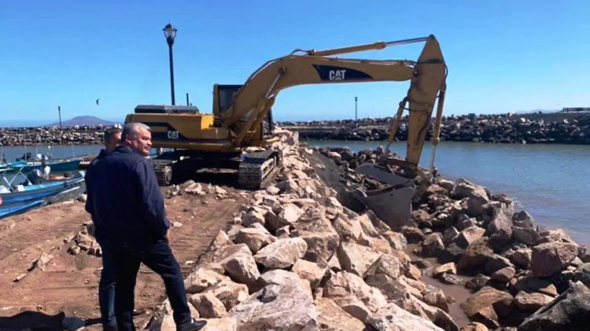 EL DIRECTOR GENERAL DE APIBCS...