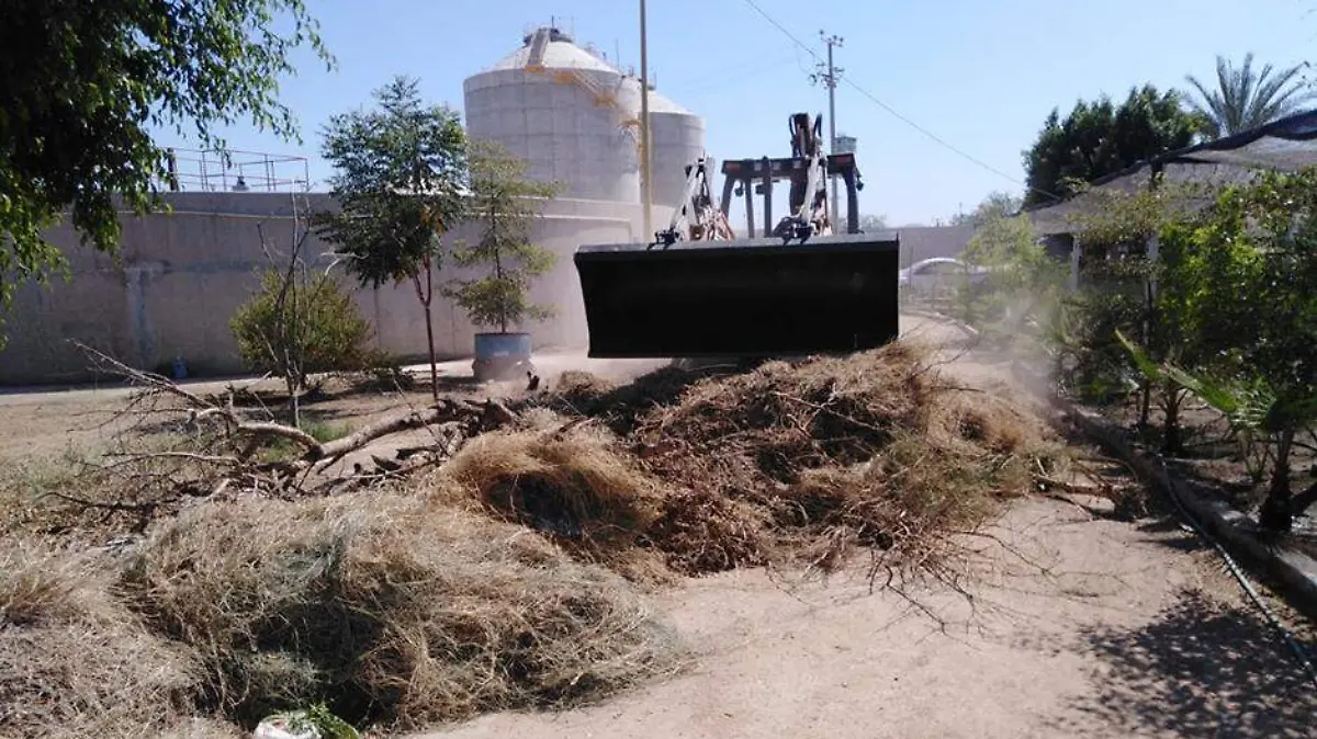 Ayuntamiento vivero 1