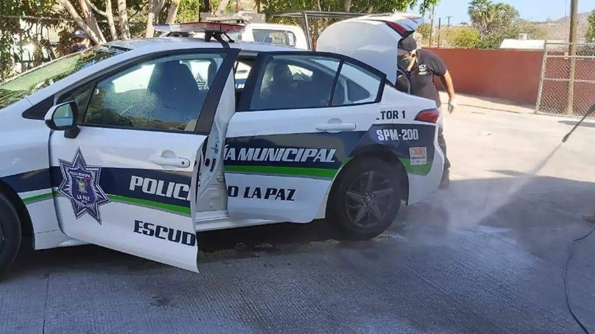 Sanitizacion