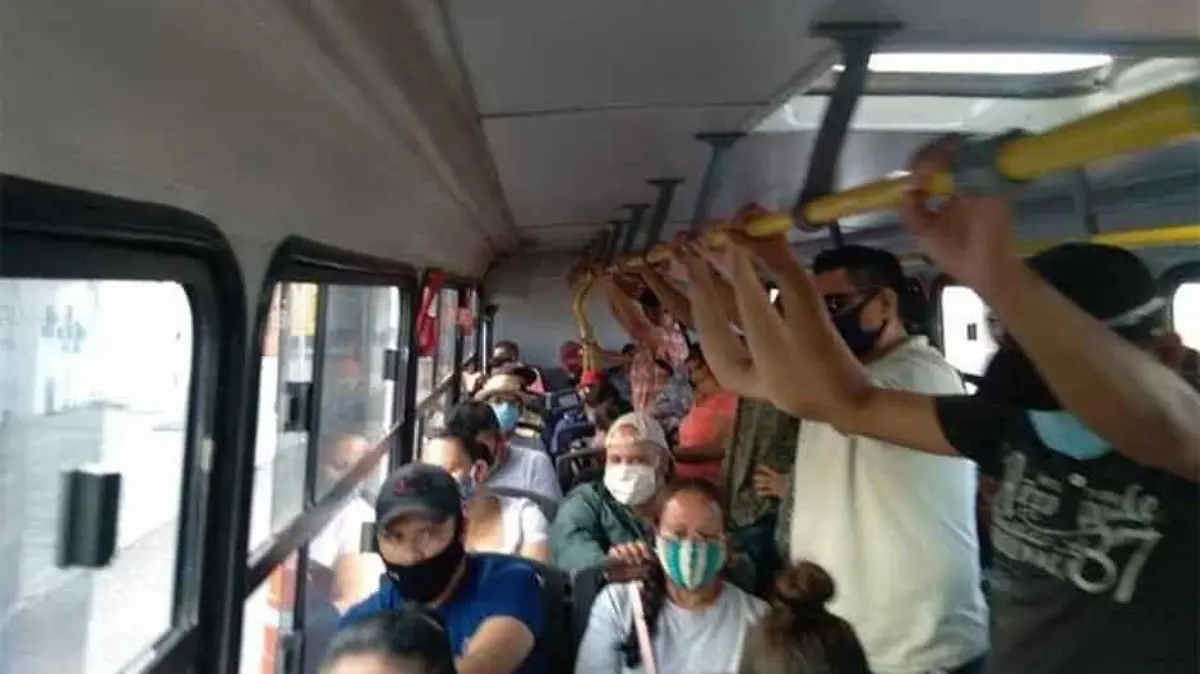 transporte 44