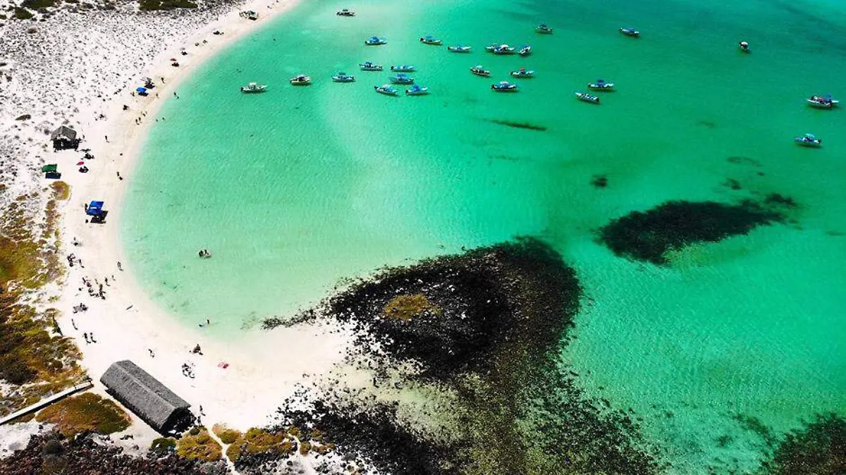 Delimitan espacios en islas de Loreto