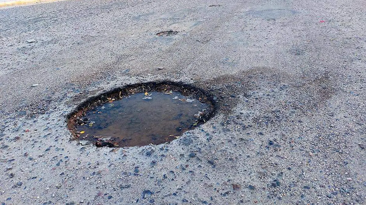 bache