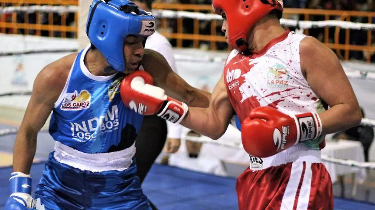 Boxeo
