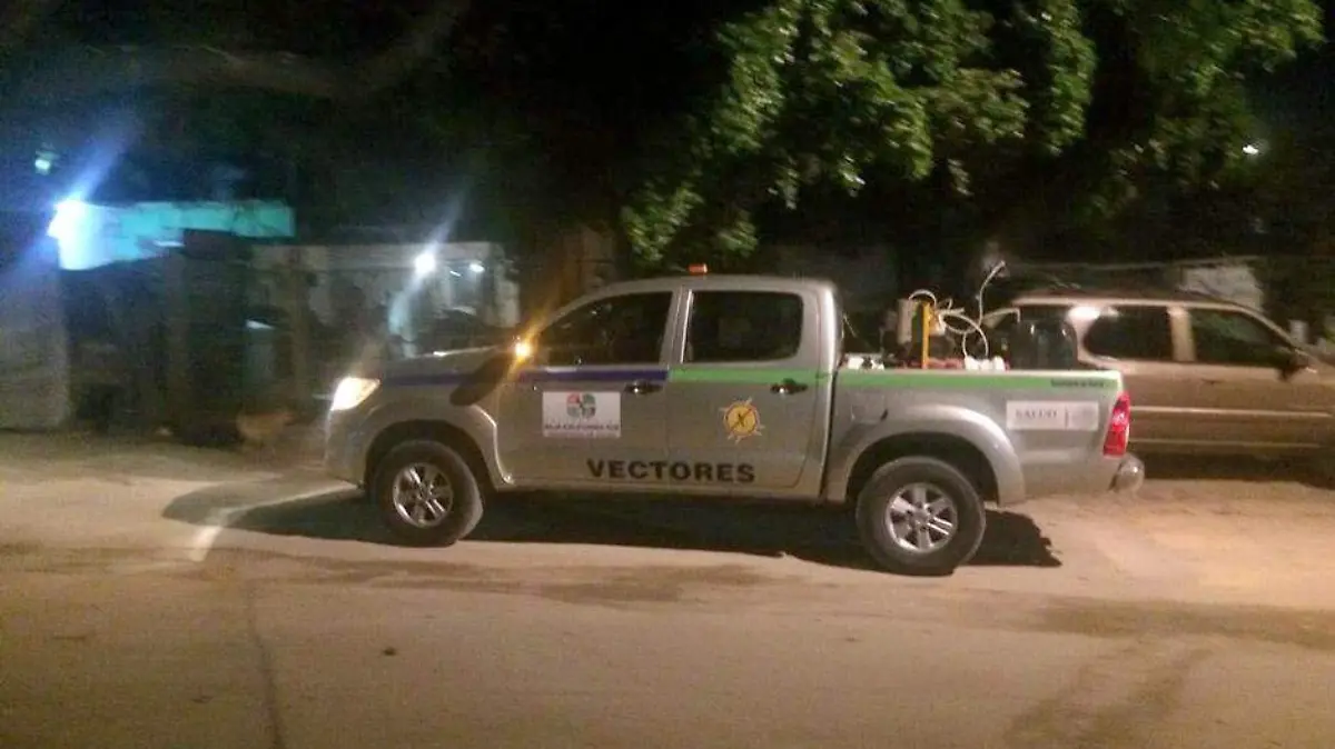 Foto 3 vgs