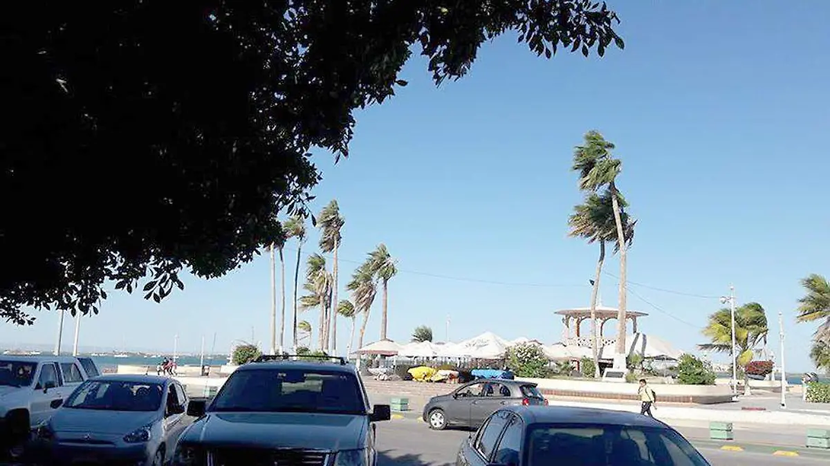 Las collas de La Paz