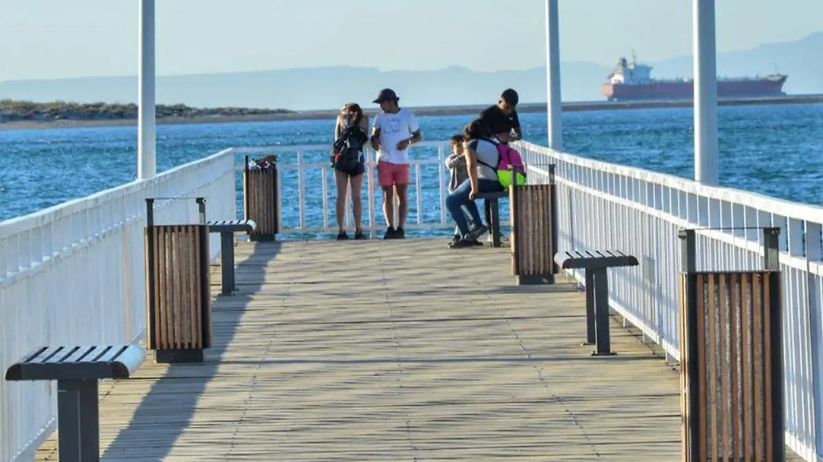 muelle