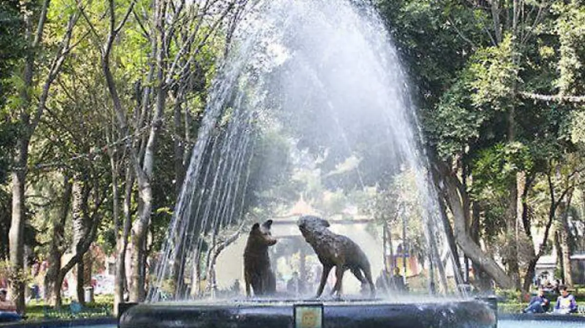 coyoacan