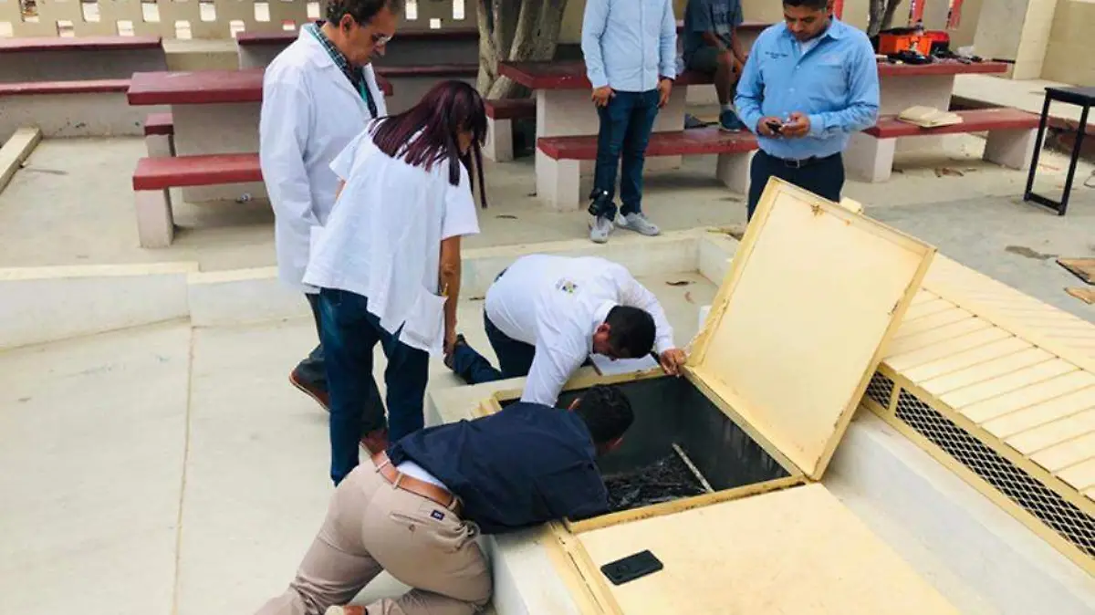 SSA_REVISIÓN REFUGIOS