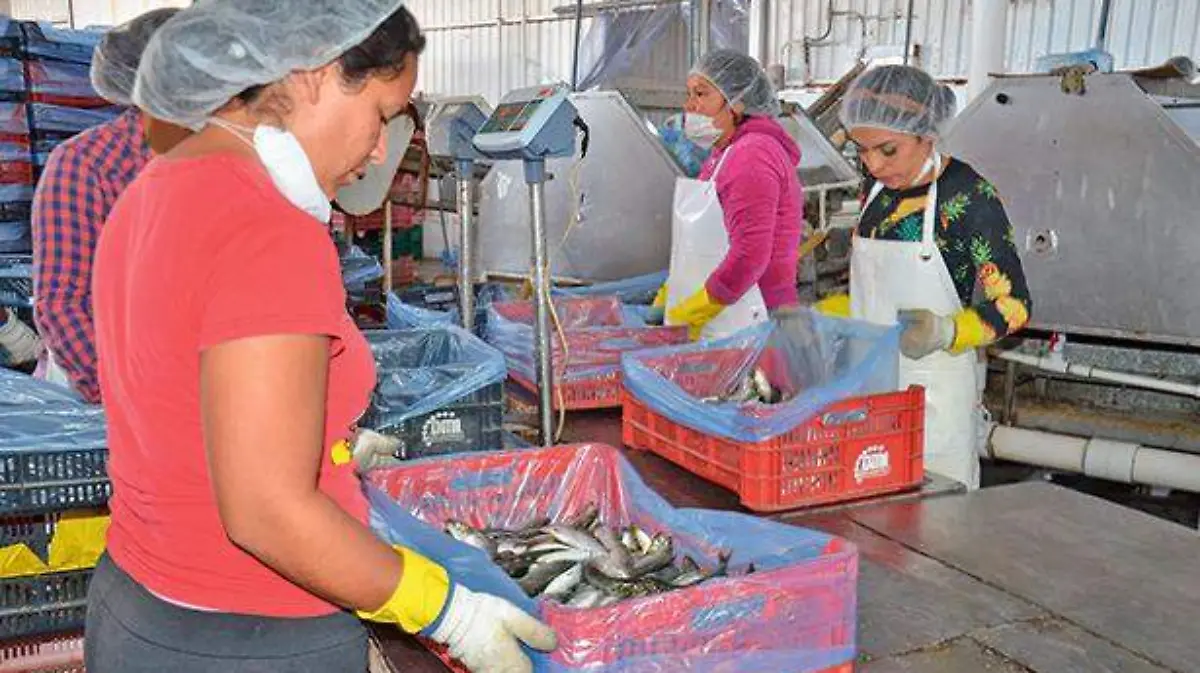 La producción