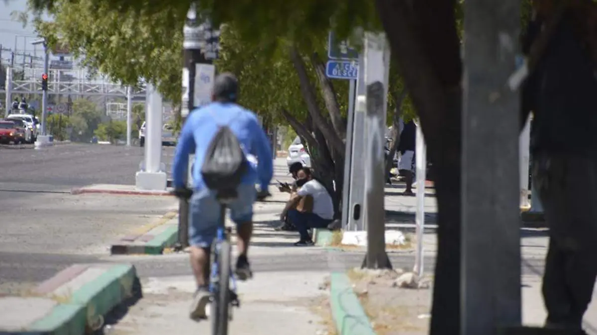 Ciclovias Temporales