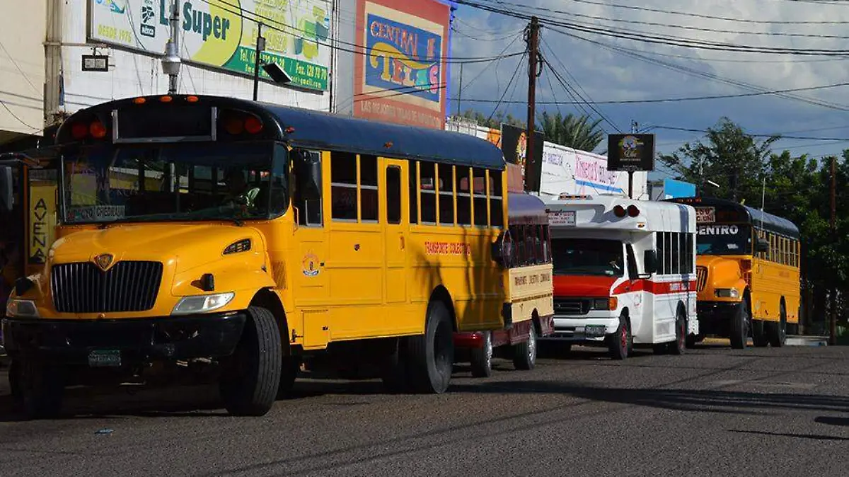 transporte