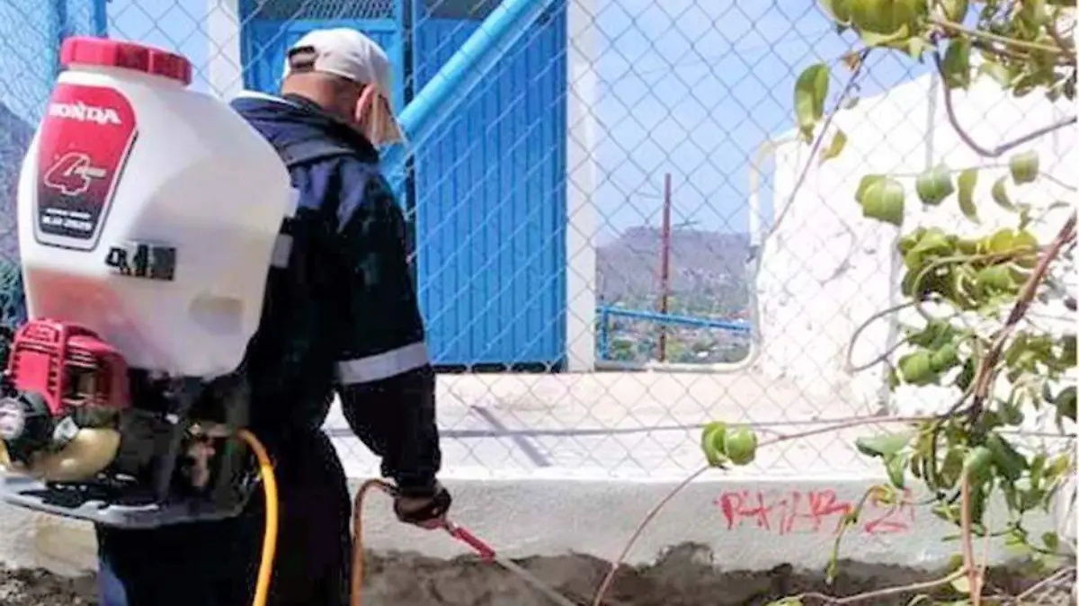 SSA_BRIGADAS LARVARIAS