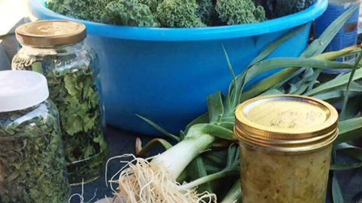 PRODUCTOS DE GRAN CALIDAD SE OFERTAN EN...