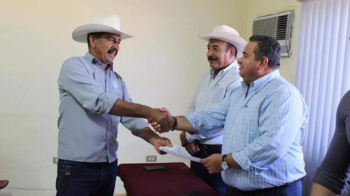 Entrega