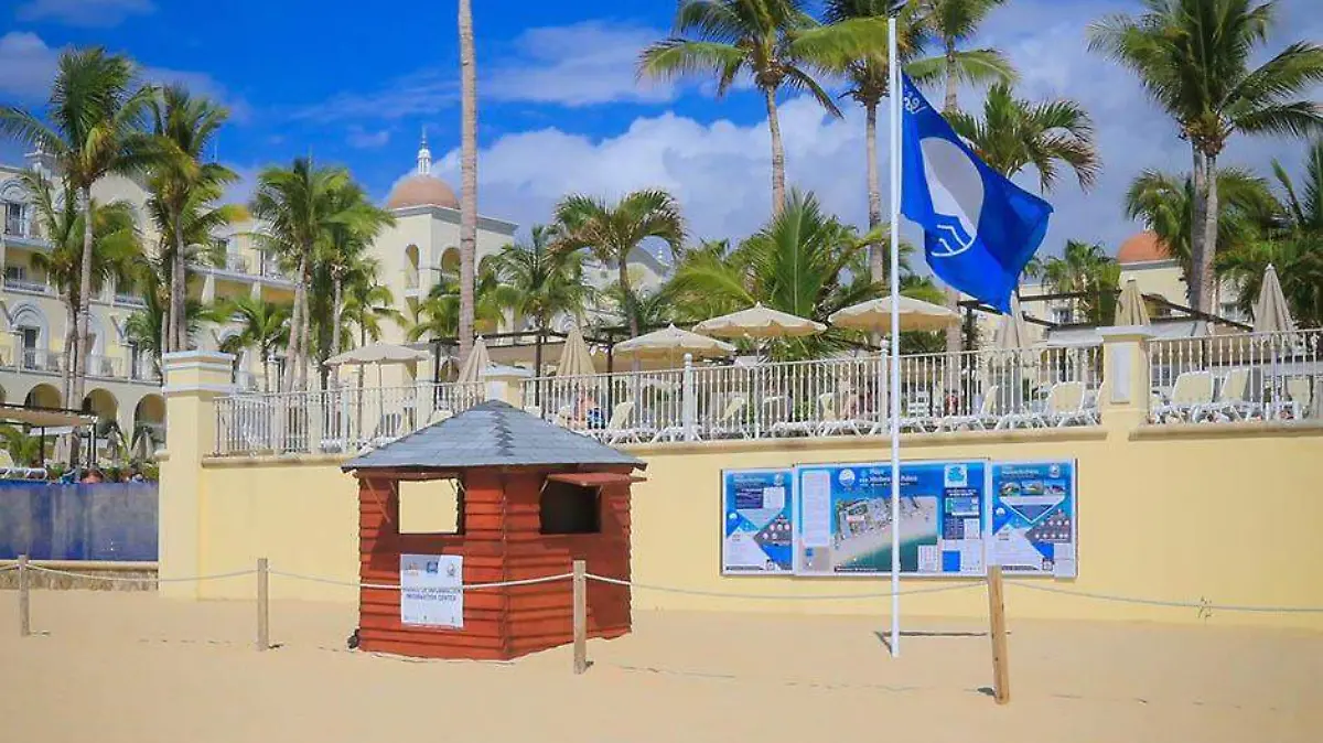 Blue Flag