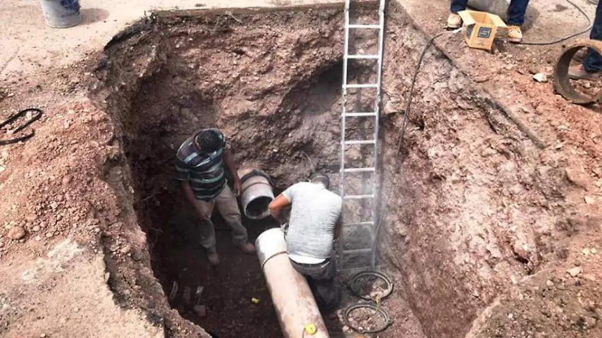 CON LA FINALIDAD DE...