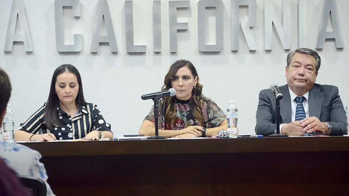 Dulcinea Apodaca Ruiz