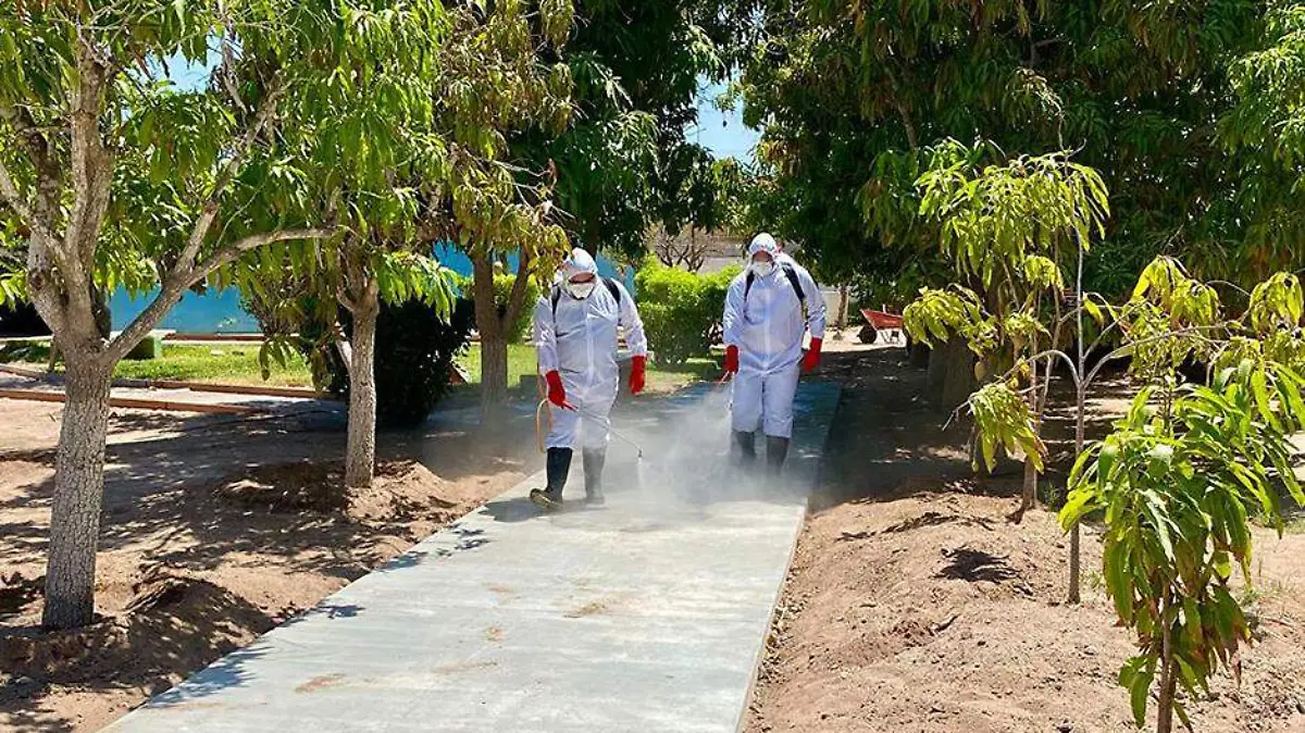 asilo cd constitucion 1