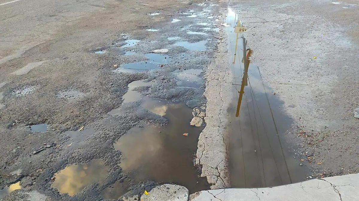 BACHES